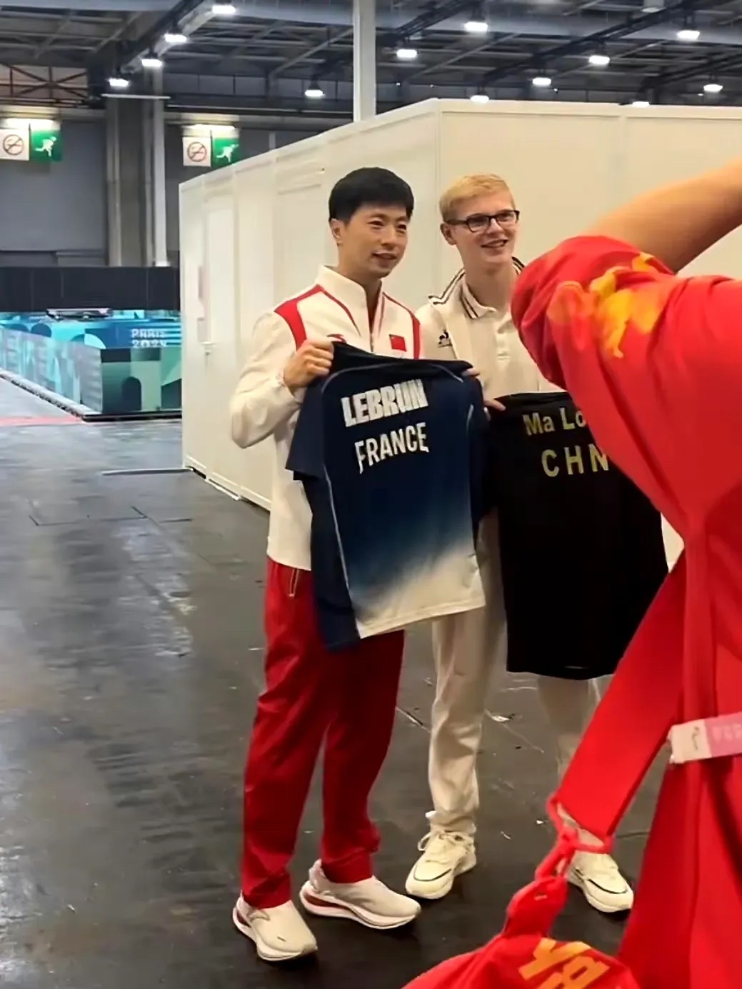 关于法国队轻取日本队，马龙状态火热的信息