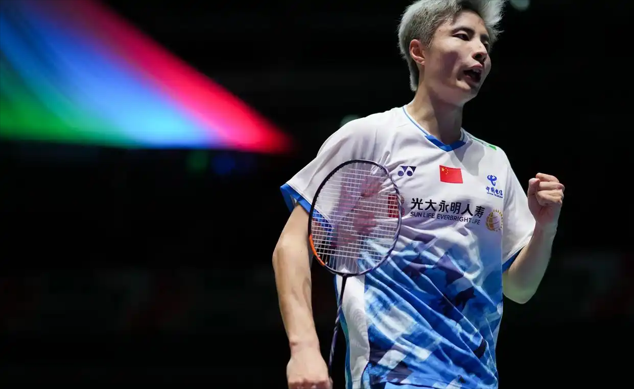 九游VIP-马来西亚队绝杀德国队，石宇奇关键制胜的简单介绍