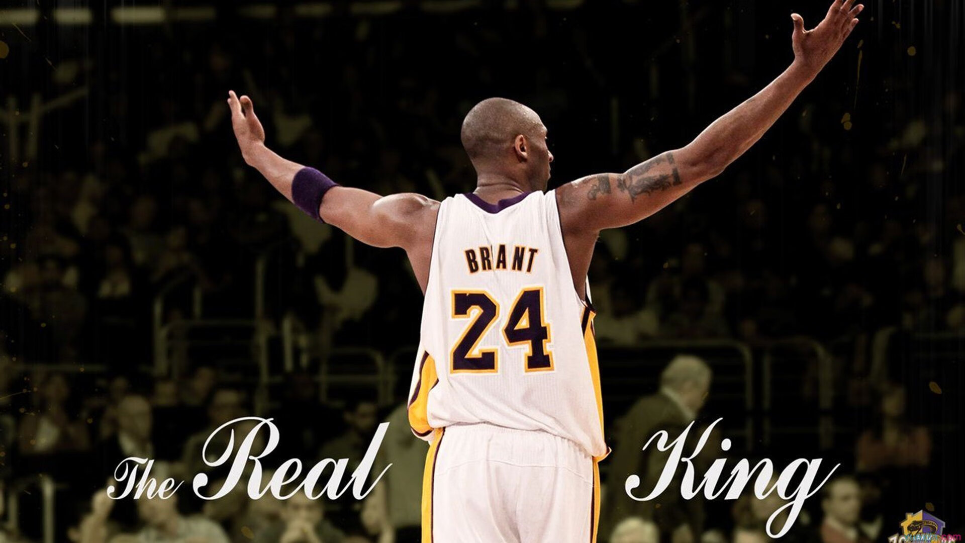 广州队碾压火箭，字母哥扛起全队，当东方战术遇上西方天赋